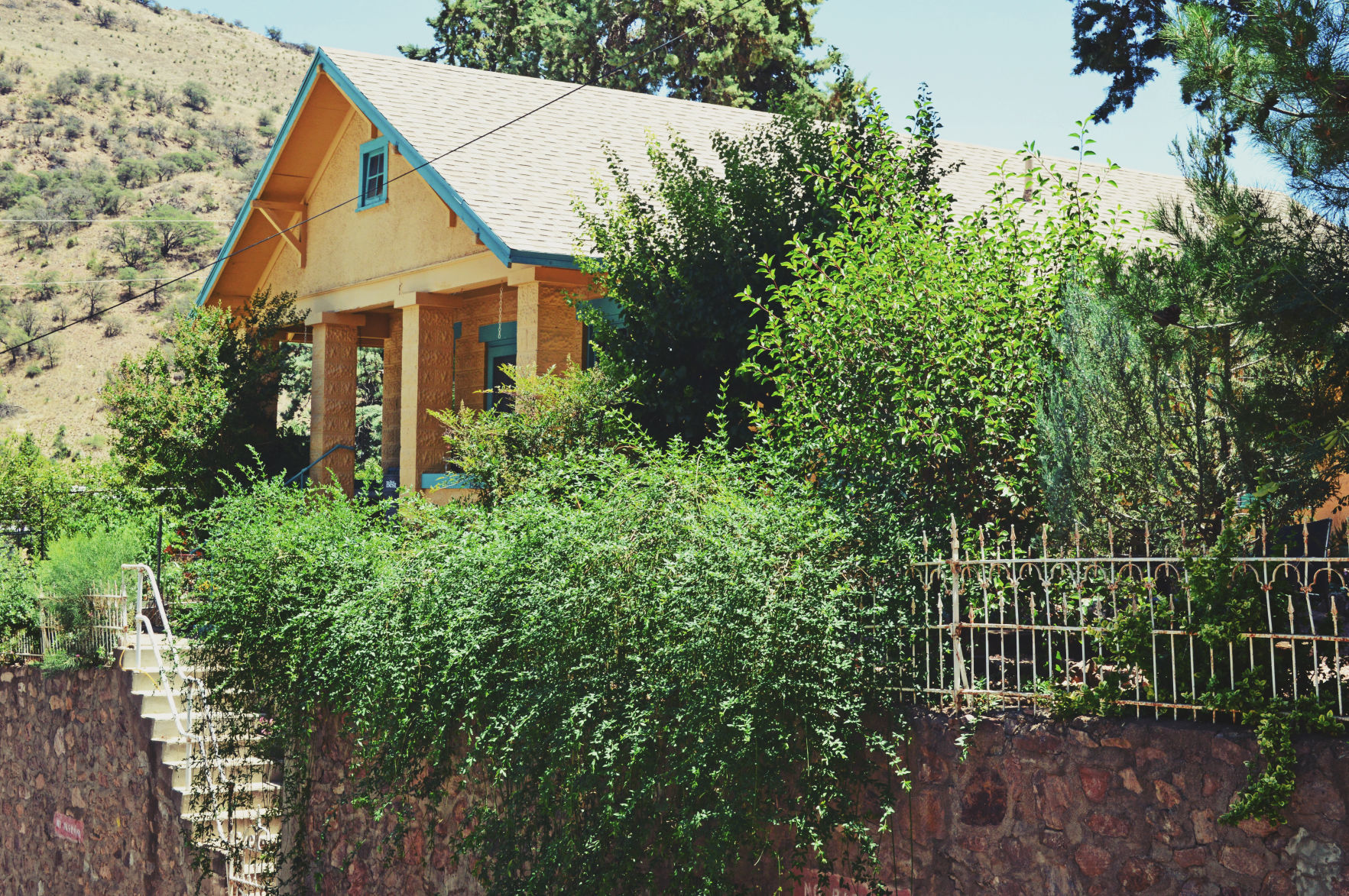 Mayer garden